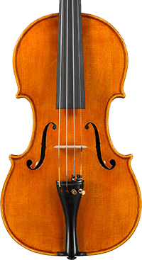 Violino 2006