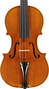 Violino 2013