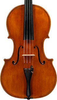 Viola 41 2008